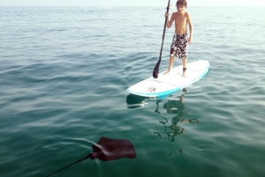 Stand up paddleboarding i Marbella-bukten