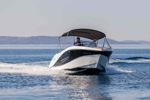 Marbella: Dolphin Watching Boat Tour