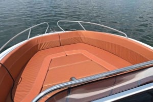 Marbella: Dolphin Watching Boat Tour