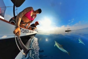 Marbella: Dolphin Watching Boat Tour