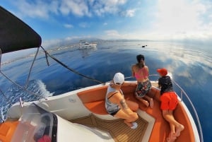 Marbella: Dolphin Watching Boat Tour