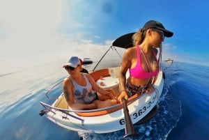 Marbella: Dolphin Watching Boat Tour