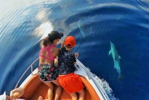 Marbella: Dolphin Watching Boat Tour