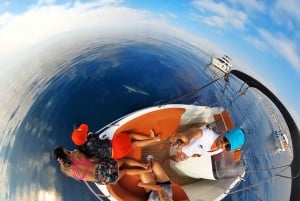 Marbella: Dolphin Watching Boat Tour