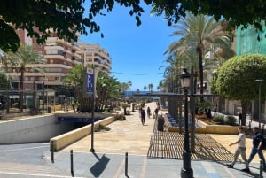 Rundvisning i Marbellas gamle bydel og sejltur til Puerto Banús