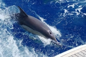 Marbella: Puerto Banús, tour de lujo en yate de 2 horas.