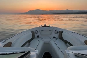 Marbella: Paseo en barco por Puerto Banús con avistamiento de delfines