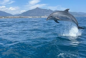 Marbella: Seiling og delfinkikking med snacks og drikke