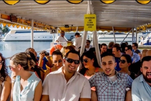 Miami: New Years Eve Fireworks Cruise on Biscayne Bay