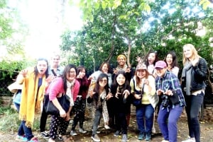 Wycieczka „Tajemnice i tapas w Madrycie” + modny bar