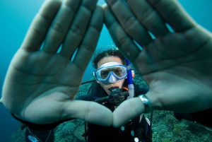 One Scuba Diving Day Trip to Costa Brava