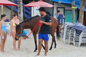 Pebbles Beach Barbados: Tour with race horses on the beach