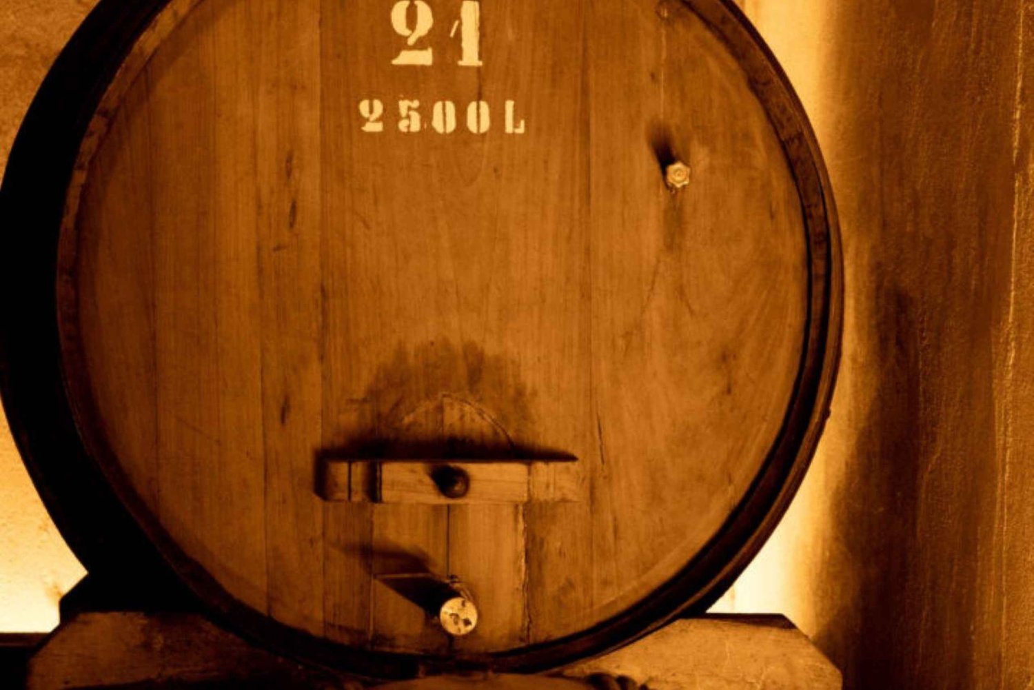 Porto: Prywatna wycieczka do Bairrada – od wina do tradycyjnego prosiaka.