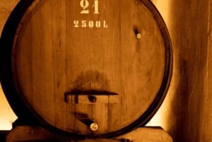 Порту: частный тур по Байрраде — от вина до традиционного поросенка.