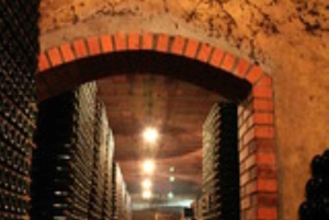 Порту: частный тур по Байрраде — от вина до традиционного поросенка.