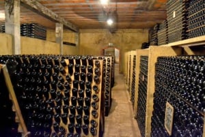 Порту: частный тур по Байрраде — от вина до традиционного поросенка.