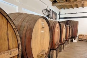 Порту: частный тур по Байрраде — от вина до традиционного поросенка.