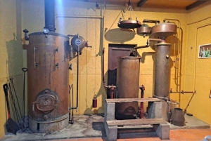 Порту: частный тур по Байрраде — от вина до традиционного поросенка.