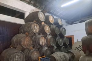 Порту: частный тур по Байрраде — от вина до традиционного поросенка.