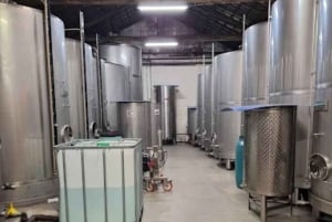 Порту: частный тур по Байрраде — от вина до традиционного поросенка.