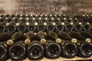 Порту: частный тур по Байрраде — от вина до традиционного поросенка.