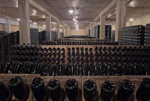 Порту: частный тур по Байрраде — от вина до традиционного поросенка.