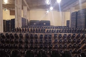 Порту: частный тур по Байрраде — от вина до традиционного поросенка.