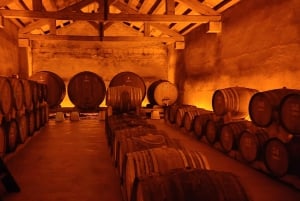 Порту: частный тур по Байрраде — от вина до традиционного поросенка.