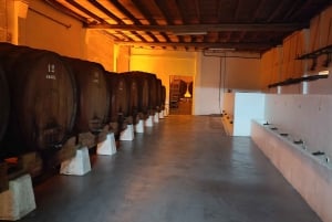 Порту: частный тур по Байрраде — от вина до традиционного поросенка.