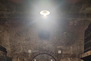 Порту: частный тур по Байрраде — от вина до традиционного поросенка.