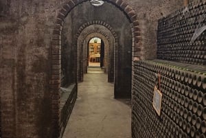 Порту: частный тур по Байрраде — от вина до традиционного поросенка.