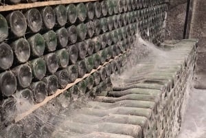 Порту: частный тур по Байрраде — от вина до традиционного поросенка.