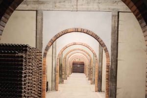 Порту: частный тур по Байрраде — от вина до традиционного поросенка.