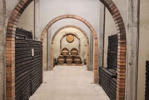 Порту: частный тур по Байрраде — от вина до традиционного поросенка.