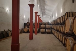 Порту: частный тур по Байрраде — от вина до традиционного поросенка.