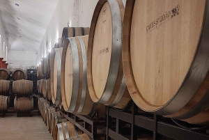 Порту: частный тур по Байрраде — от вина до традиционного поросенка.