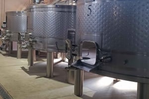 Порту: частный тур по Байрраде — от вина до традиционного поросенка.