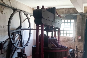 Порту: частный тур по Байрраде — от вина до традиционного поросенка.