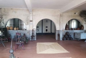 Порту: частный тур по Байрраде — от вина до традиционного поросенка.