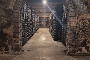 Порту: частный тур по Байрраде — от вина до традиционного поросенка.