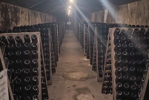 Порту: частный тур по Байрраде — от вина до традиционного поросенка.