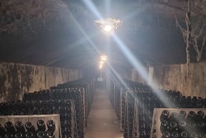 Порту: частный тур по Байрраде — от вина до традиционного поросенка.