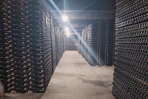 Порту: частный тур по Байрраде — от вина до традиционного поросенка.