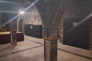 Порту: частный тур по Байрраде — от вина до традиционного поросенка.