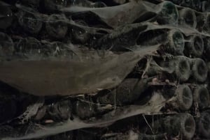 Порту: частный тур по Байрраде — от вина до традиционного поросенка.