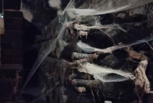 Порту: частный тур по Байрраде — от вина до традиционного поросенка.