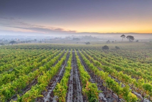 Portugal: Bairrada Private Tour