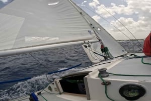Race the Wind: J/24 seileventyr i Barbados