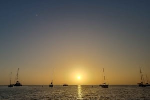 Race the Wind: J/24 seileventyr i Barbados