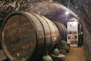 Ribera del Duero Tour: From Madrid to Ribera del Duero - lunch included